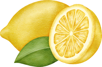 Sliced Lemon Watercolor Illustration